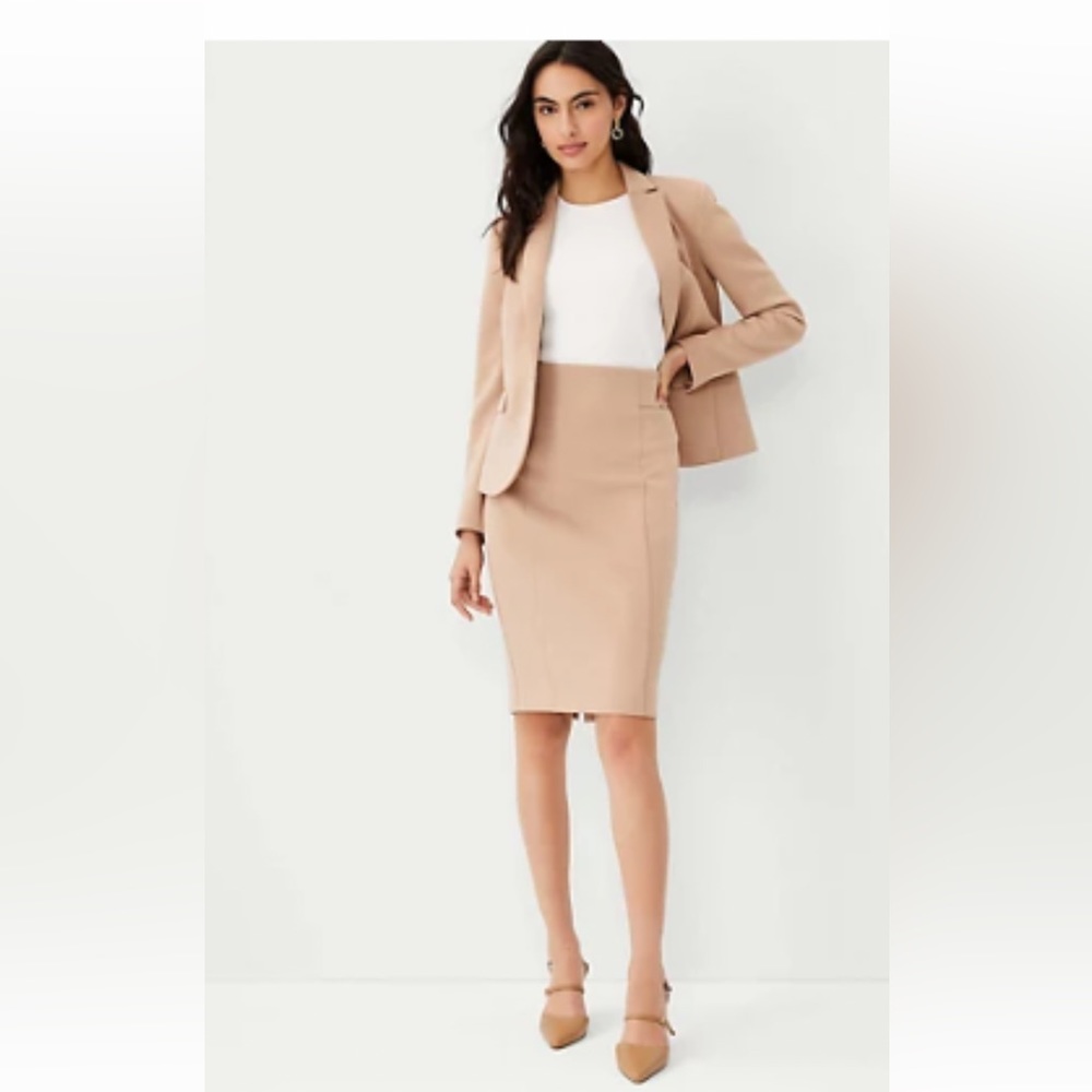 Ann Taylor High Waisted Pencil Skirt, size 4